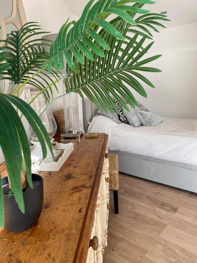 Spacious Studio Cabin With Sea/ Downs Views Sole Use Of Hottub In سيفورد المظهر الخارجي الصورة